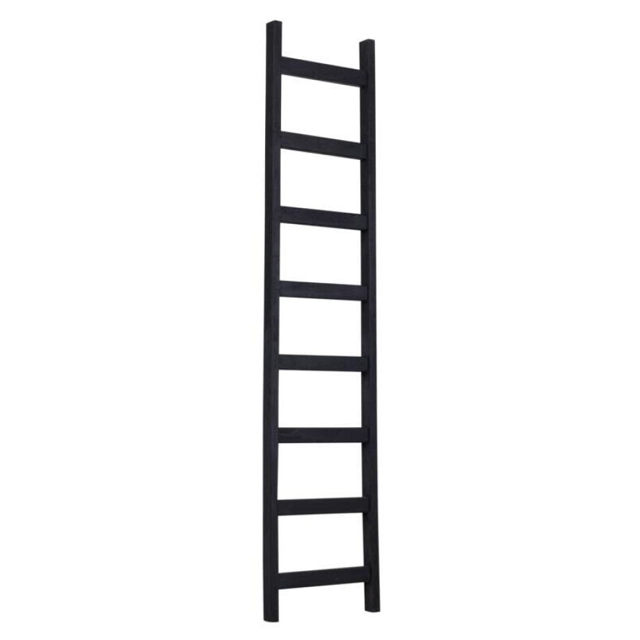 MUST Living Ladder 'Steps' Teakhout, 180cm, kleur Zwart MUST Living Ladder 'Steps' Teakhout, 180cm, kleur Zwart afbeelding 1