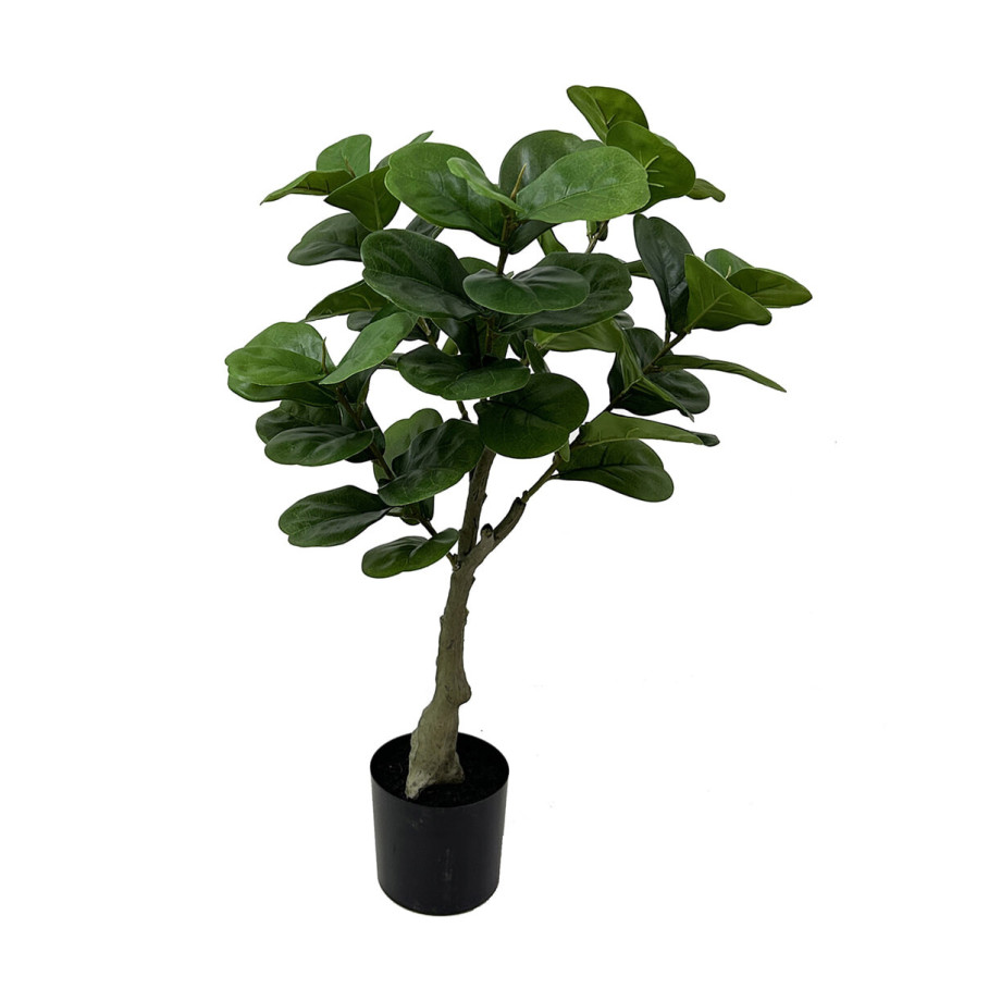 present time Kunstplant 'Ficus' 72cm afbeelding 1