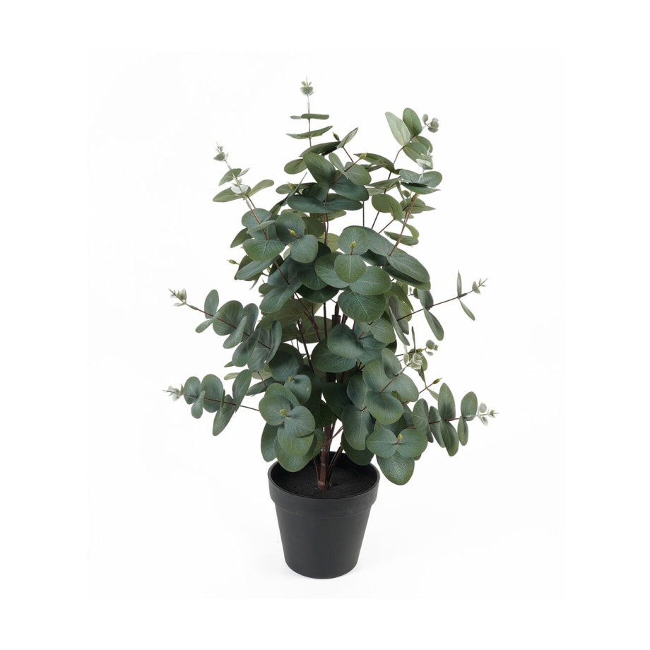 present time Kunstplant 'Eucalyptus Leaf' 54cm afbeelding 1