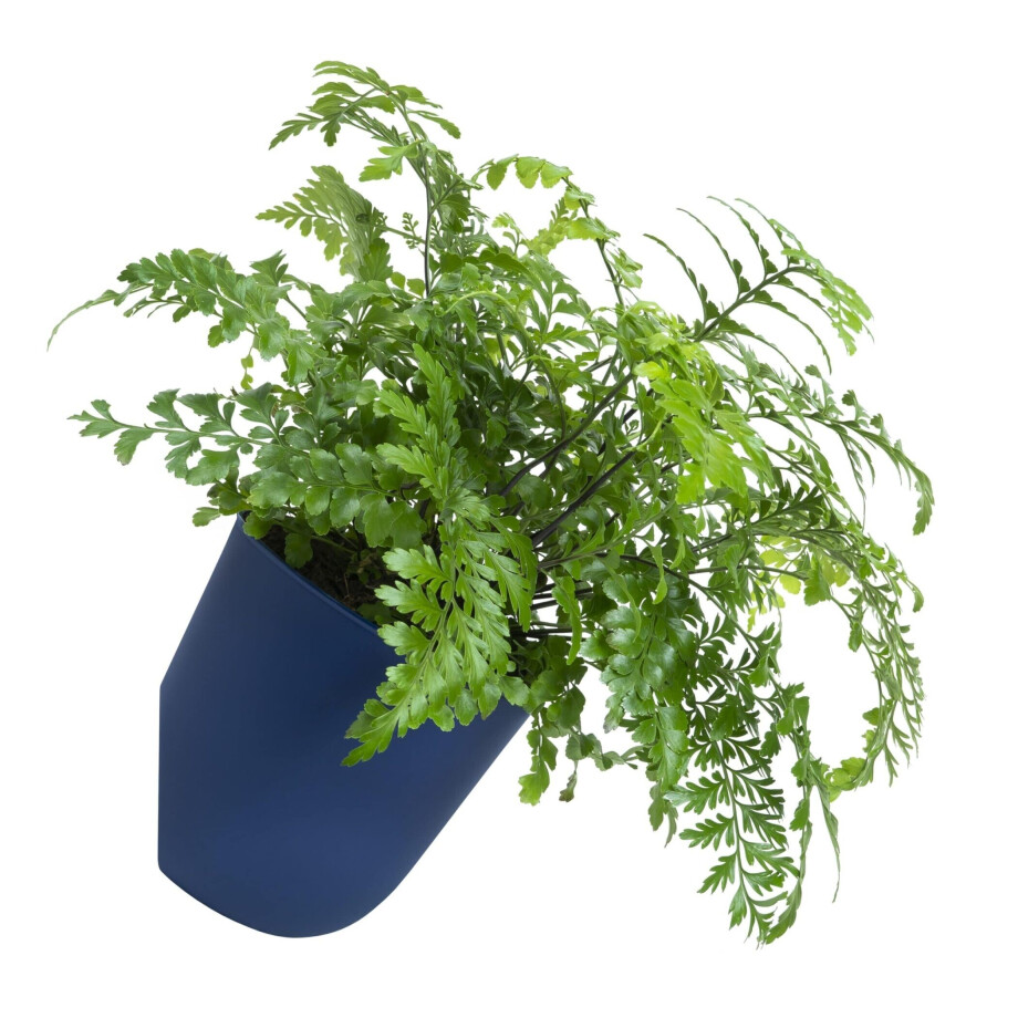 QUVIO Bloempot voor aan de wand - Diameter 15 cm - Donkerblauw QUVIO Bloempot voor aan de wand - Diameter 15 cm - Donkerblauw afbeelding 1