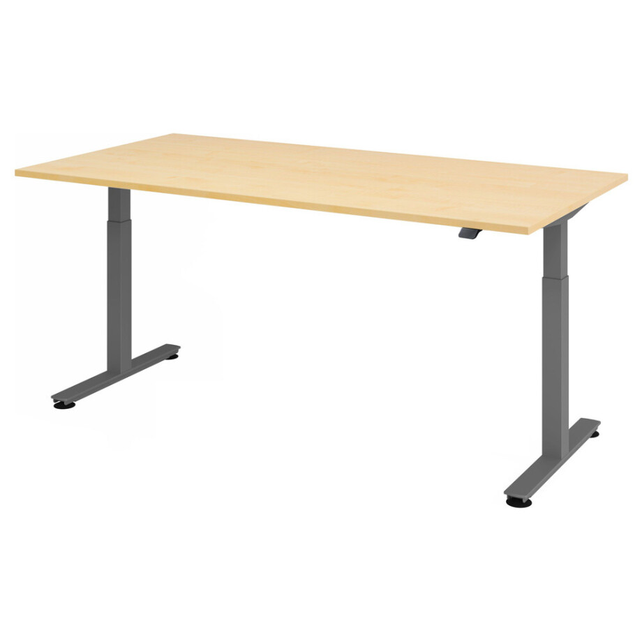 XMST 2E G | 200x100 | Bureau elektrisch in hoogte verstelbaar - Esdoorn 200 x 100 Tafelhoogte I Elektrisch in hoogte verstelbaar XMST 2E G | 200x100 | Bureau elektrisch in hoogte verstelbaar - Esdoorn 200 x 100 Tafelhoogte I Elektrisch in hoogte verstelbaar afbeelding