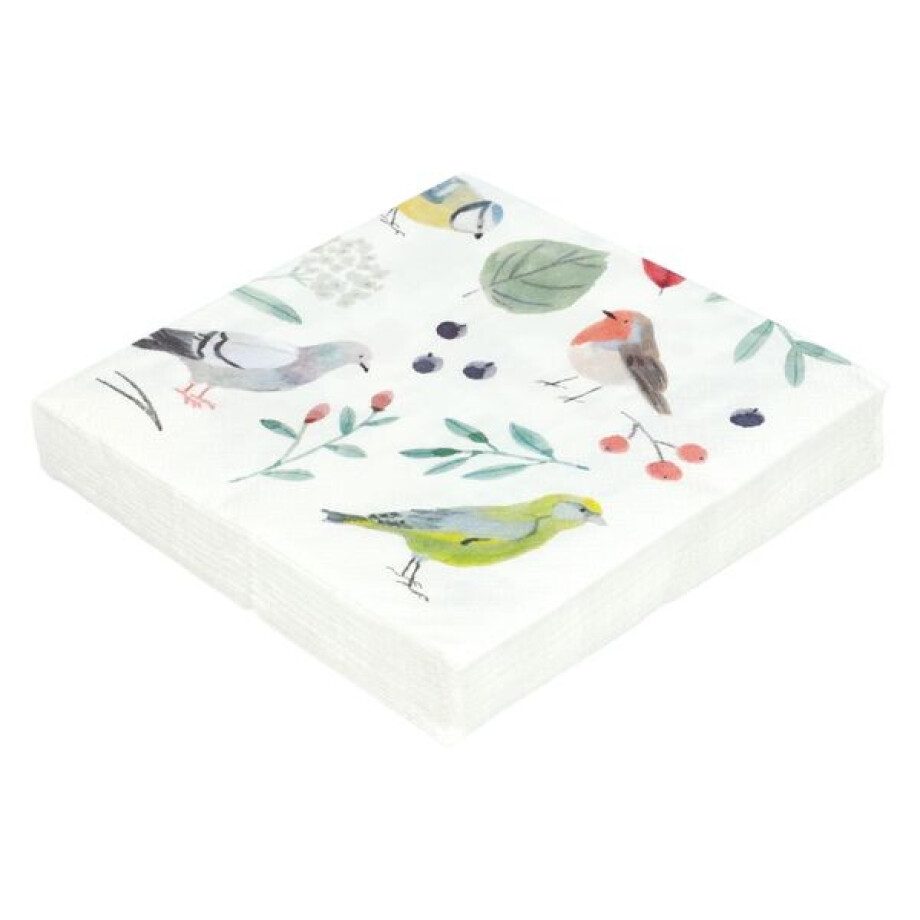 Servetten, papier, takjes en vogels, 33 x 33 cm, 20 stuks Servetten, papier, takjes en vogels, 33 x 33 cm, 20 stuks afbeelding 1