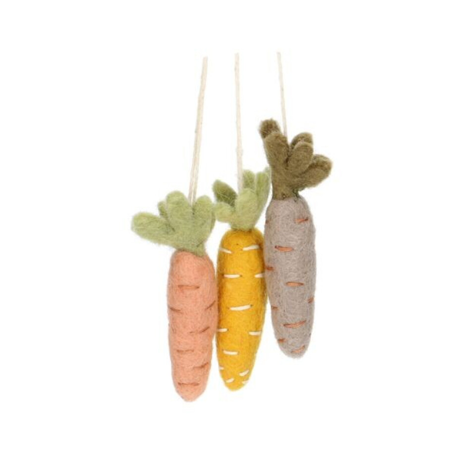 Hanger regenboogwortels, vilt Hanger regenboogwortels, vilt afbeelding 1