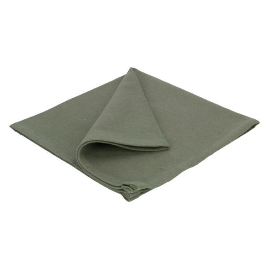 Servet, GOTS bio-katoen, tijmgroen, 40 x 40 cm Servet, GOTS bio-katoen, tijmgroen, 40 x 40 cm afbeelding 1