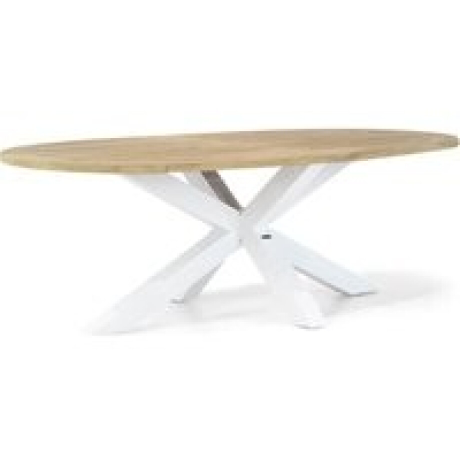 Lifestyle Bradford dining tuintafel ovaal 240 x 120 cm afbeelding 1