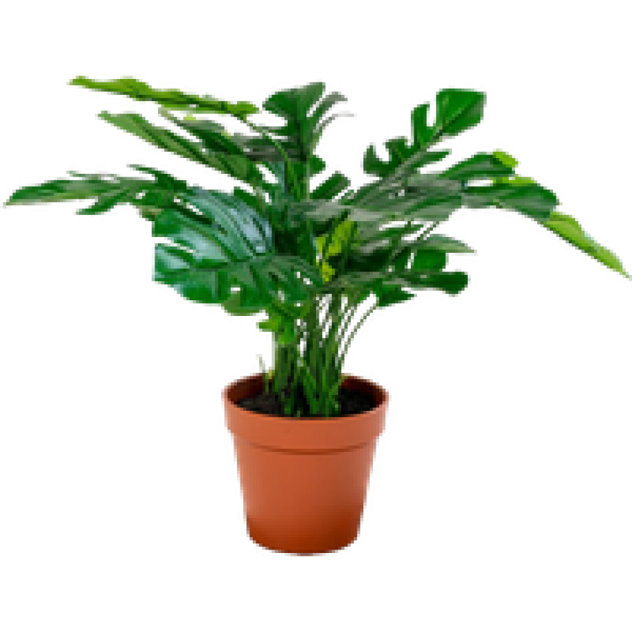 Denise Monstera kunstplant - 45 cm afbeelding 1