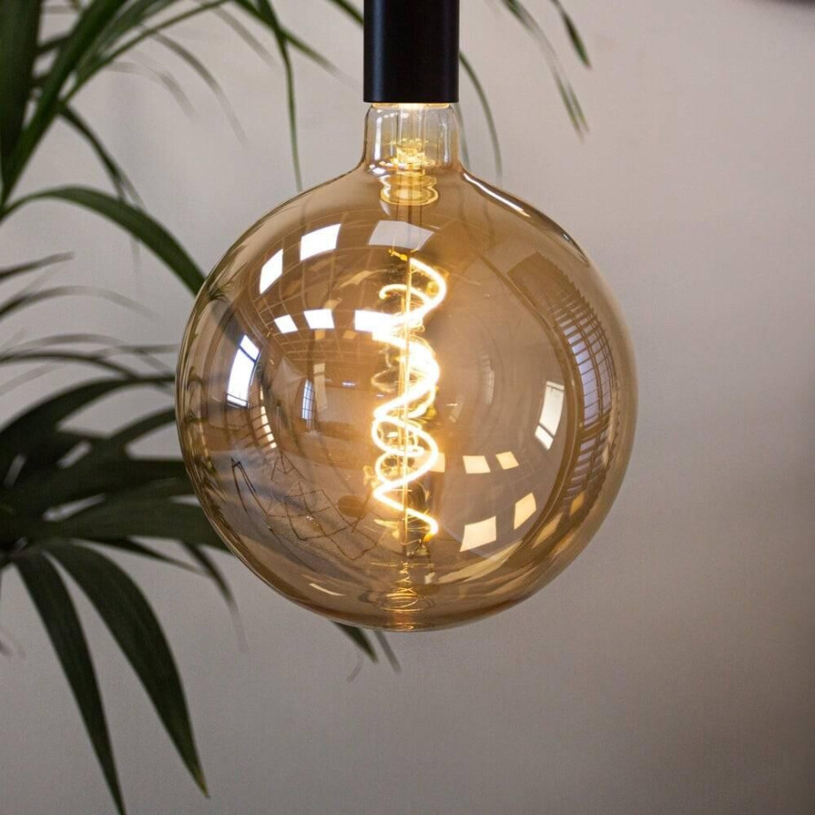 LED lichtbron Falco | Dimehouse afbeelding 1