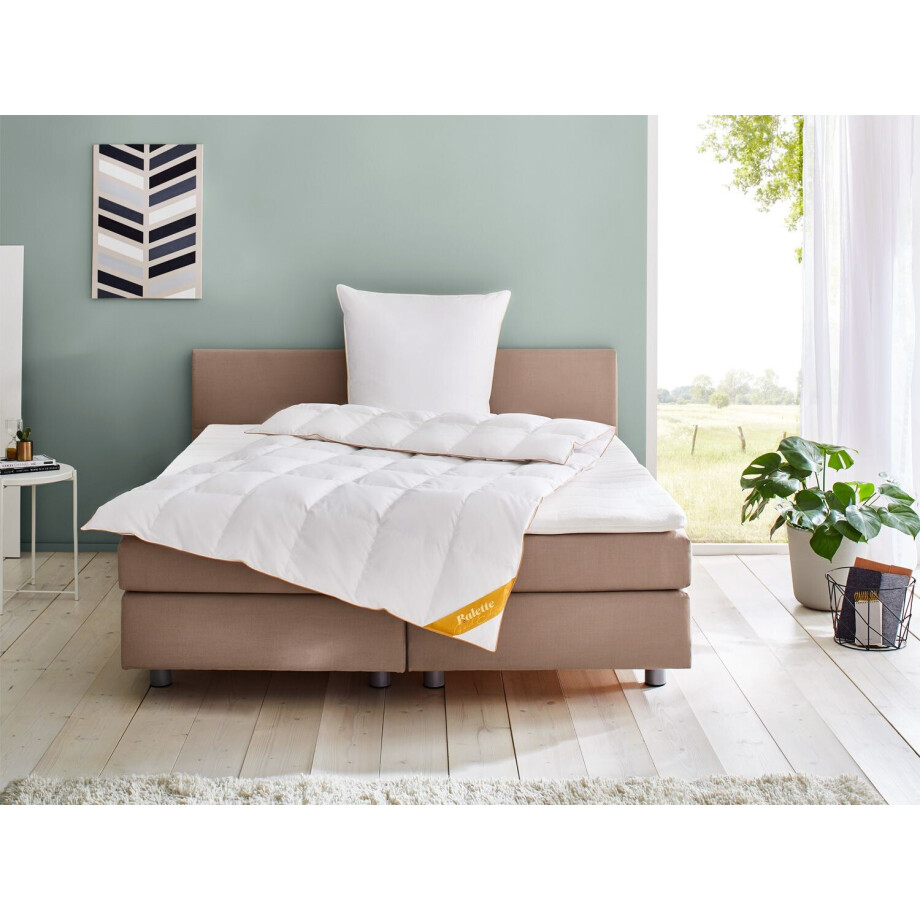 Balette Donzen dekbed Gold-Edition medium (140 x 200 cm) Balette Donzen dekbed Gold-Edition medium (140 x 200 cm) afbeelding