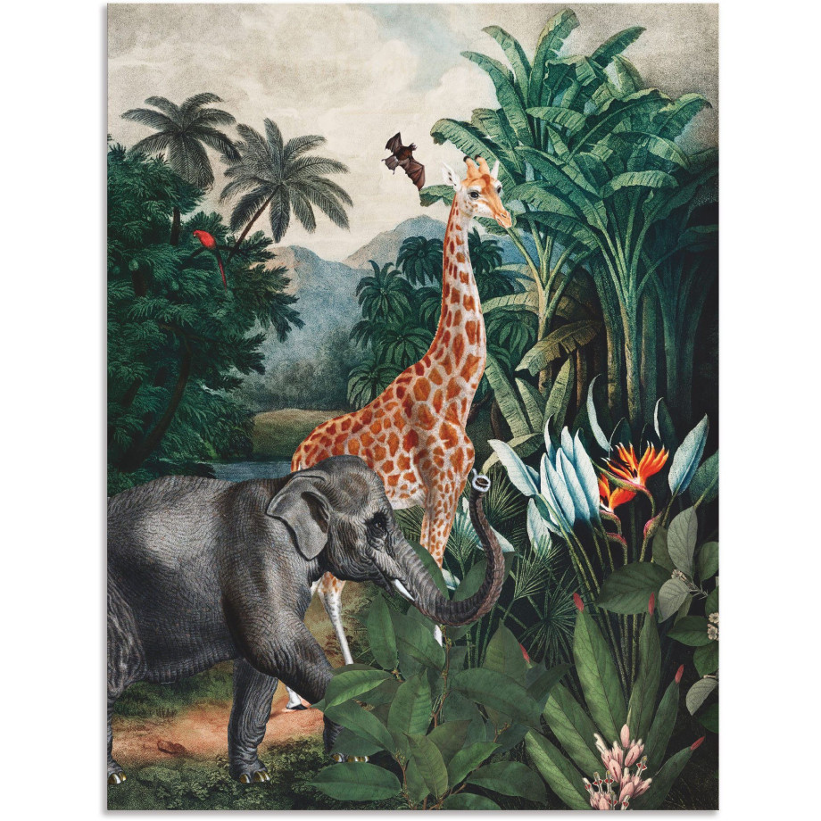 Artland Artprint Afrikaanse jungle als artprint van aluminium, artprint voor buiten, artprint op linnen, poster in verschillende maten. maten afbeelding 1