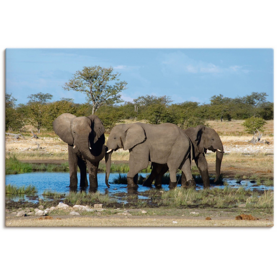 Artland Artprint Afrikaanse olifant EtoshaNationalpark als artprint op linnen, muursticker in verschillende maten afbeelding 1