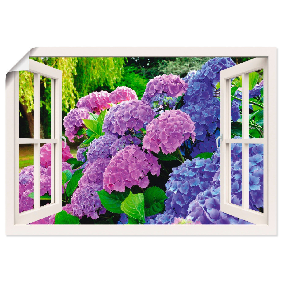 Artland Artprint Blik uit het venster hortensia's in de tuin als artprint op linnen, poster in verschillende formaten maten afbeelding 1