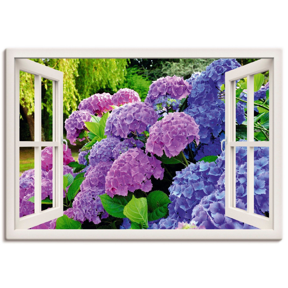 Artland Artprint Blik uit het venster hortensia's in de tuin als artprint op linnen, poster in verschillende formaten maten afbeelding 1