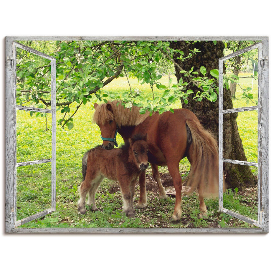 Artland Artprint Blik uit het venster - pony met kind als artprint op linnen, poster, muursticker in verschillende maten afbeelding 1