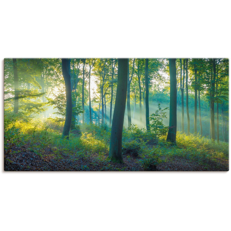 Artland Artprint Bos panorama als artprint van aluminium, artprint voor buiten, artprint op linnen, poster, muursticker afbeelding 1