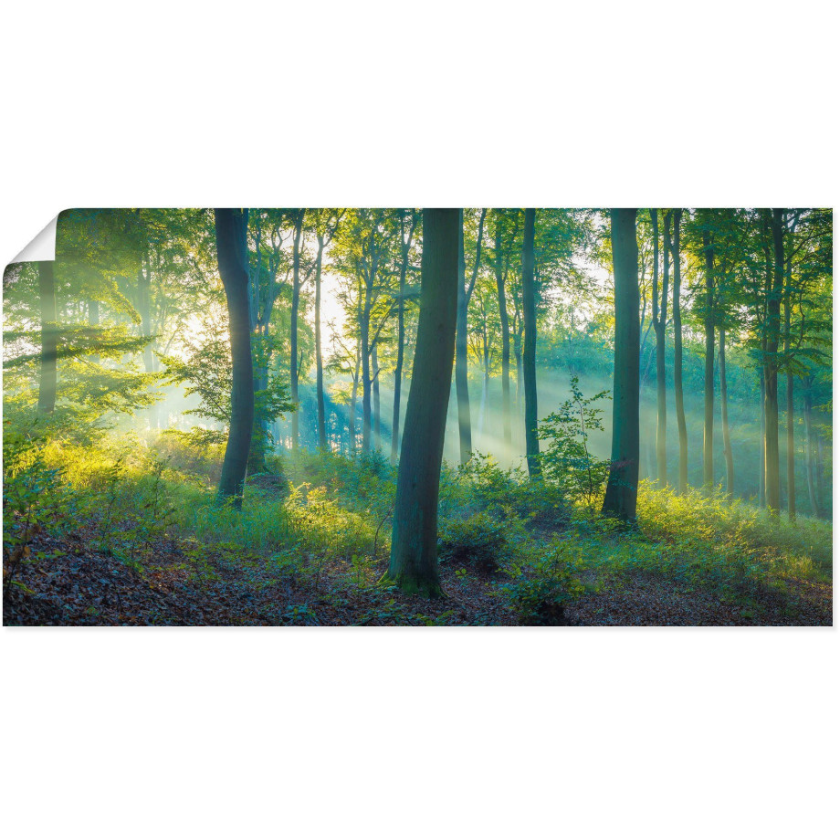 Artland Artprint Bos panorama als artprint van aluminium, artprint voor buiten, artprint op linnen, poster, muursticker afbeelding 1