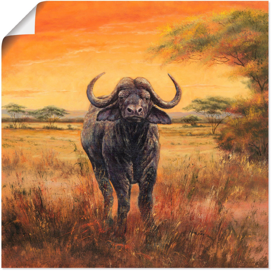 Artland Artprint Buffel als poster, muursticker in verschillende maten afbeelding 1