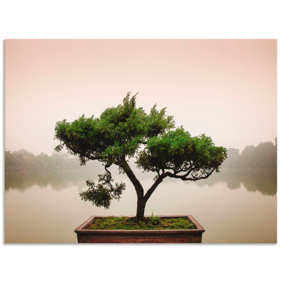 Artland Artprint Chinese bonsaiboom als artprint van aluminium, artprint voor buiten, artprint op linnen, poster, muursticker afbeelding 1