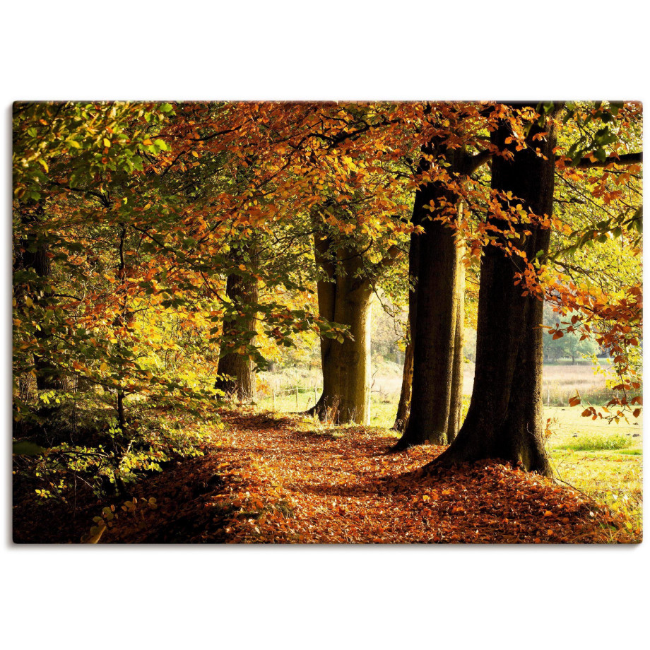 Artland Artprint Herfstkleuren als artprint van aluminium, artprint voor buiten, artprint op linnen in verschillende maten afbeelding 1