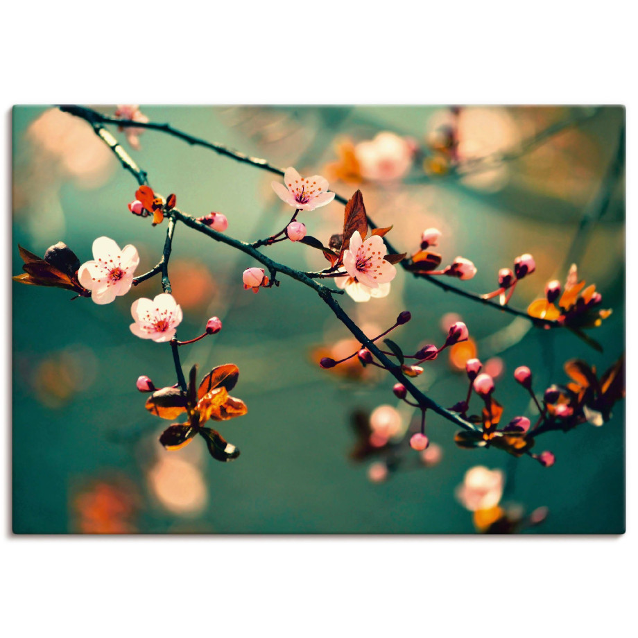 Artland Artprint Japanse kers Sakura bloemen als artprint op linnen, poster in verschillende formaten maten afbeelding 1