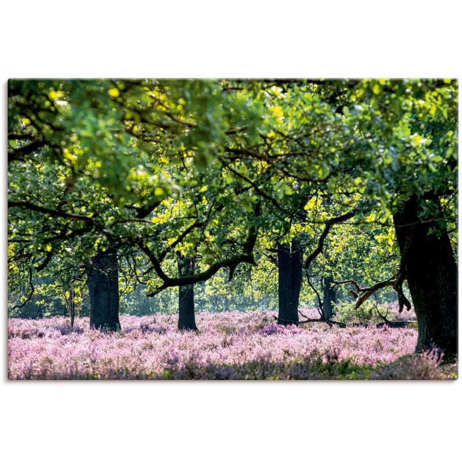 Artland Artprint op linnen Lüneburger heide gespannen op een spieraam afbeelding 1