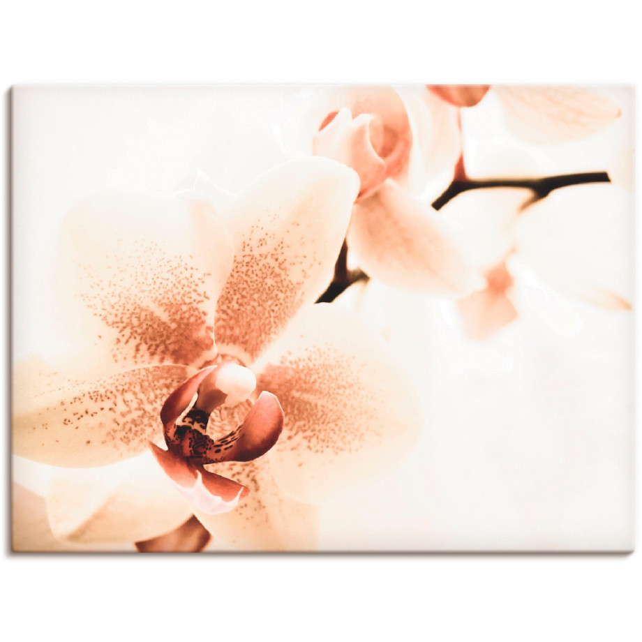 Artland Artprint Orchidee abstracte collage als artprint op linnen, poster in verschillende formaten maten afbeelding 1