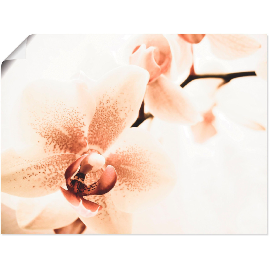 Artland Artprint Orchidee abstracte collage als artprint op linnen, poster in verschillende formaten maten afbeelding 1