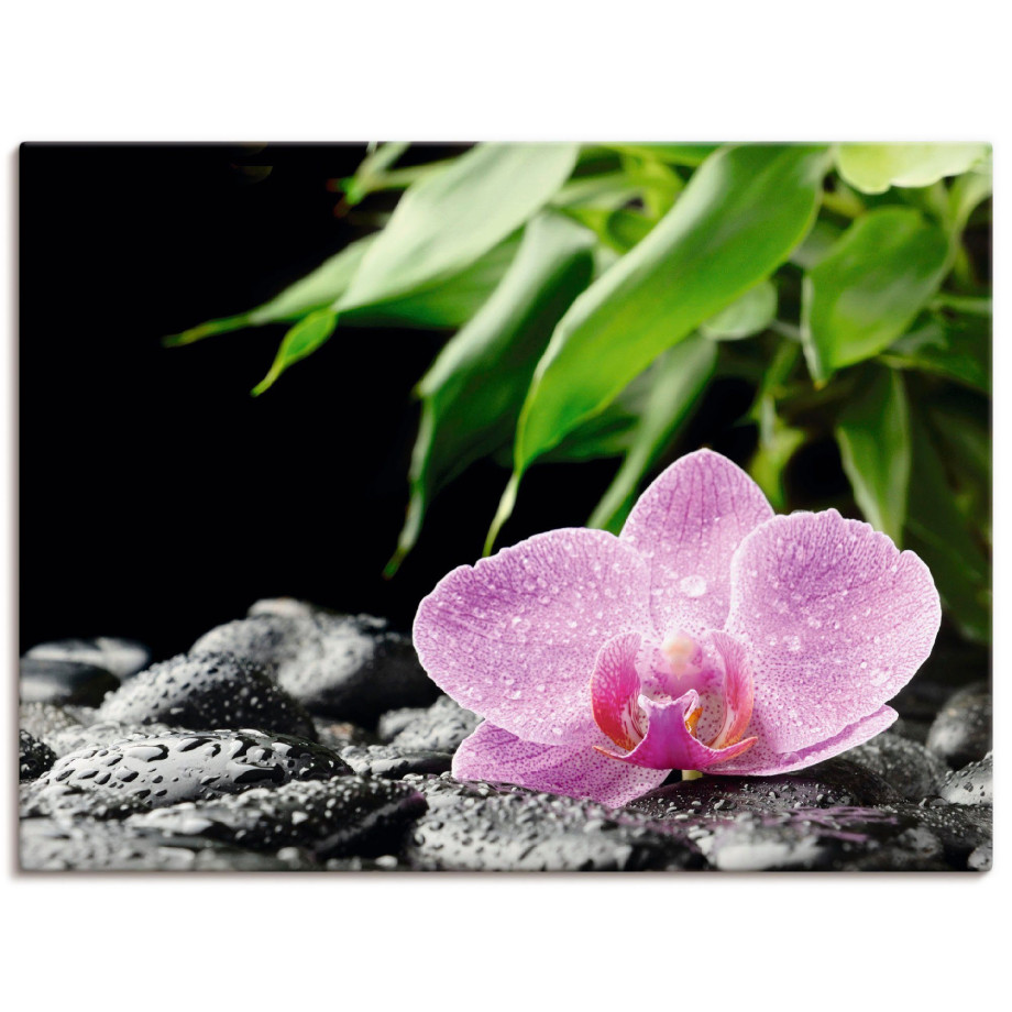 Artland Artprint Roze orchidee op zwarte zen stenen als artprint op linnen, poster in verschillende formaten maten afbeelding 1