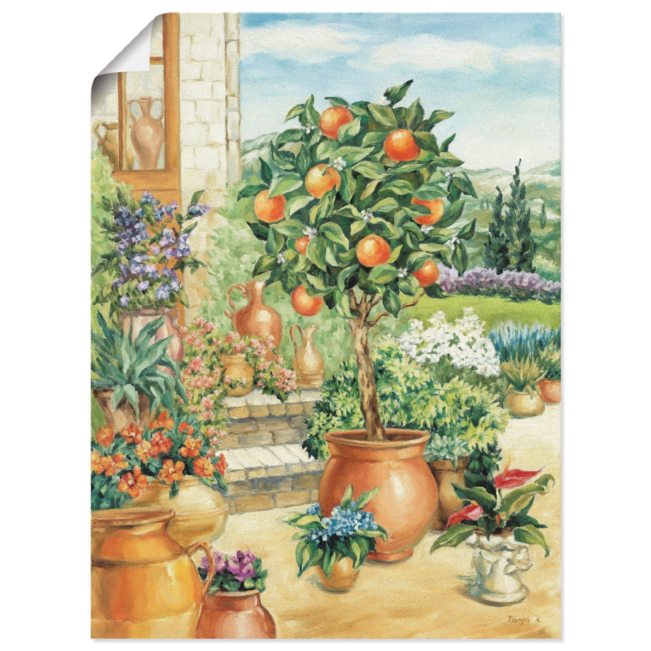 Artland Artprint Sinaasappelboompje in de tuin als artprint van aluminium, artprint voor buiten, artprint op linnen, poster, muursticker afbeelding 1