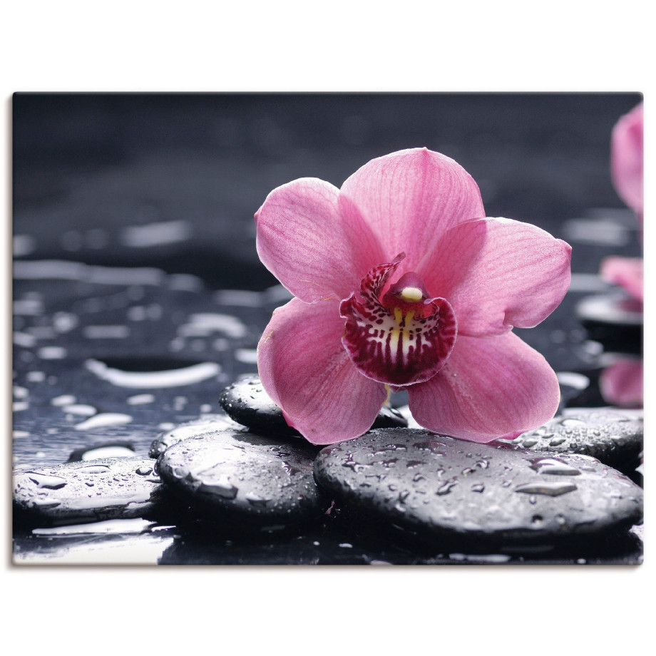 Artland Artprint Stilleven met kiezel en een orchidee als artprint van aluminium, artprint voor buiten, artprint op linnen, poster, muursticker afbeelding 1