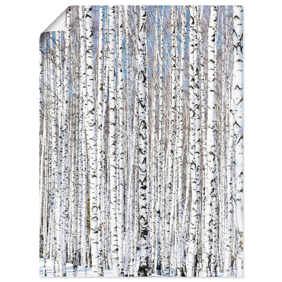 Artland Artprint Winter berkenbos winter sereniteit als artprint op linnen, poster in verschillende formaten maten afbeelding 1