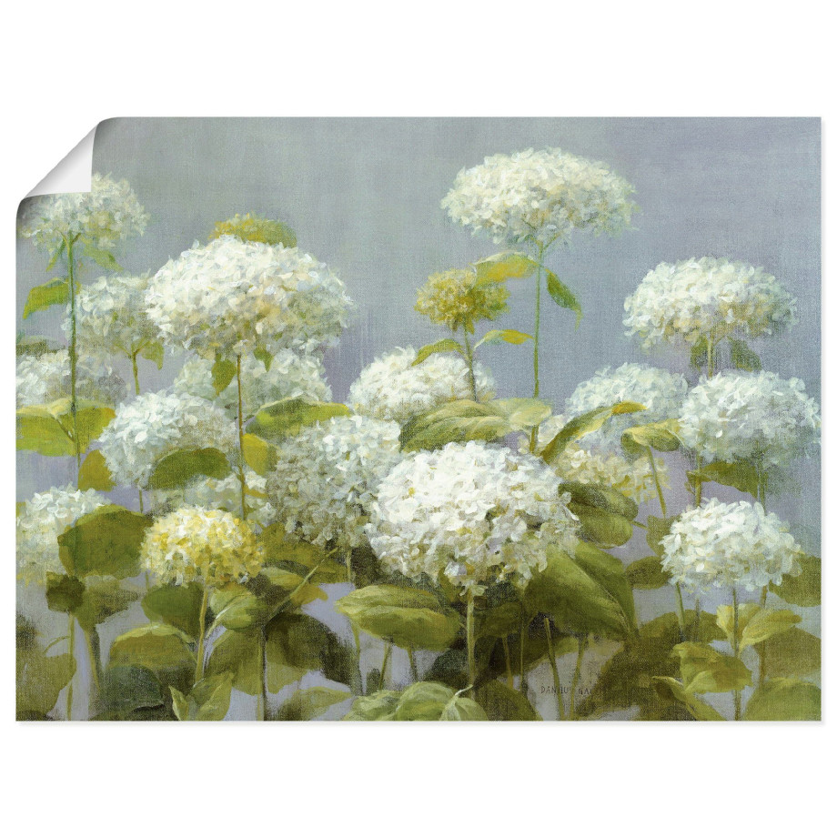 Artland Artprint Witte hortensia's tuin als artprint op linnen, poster, muursticker in verschillende maten afbeelding 1