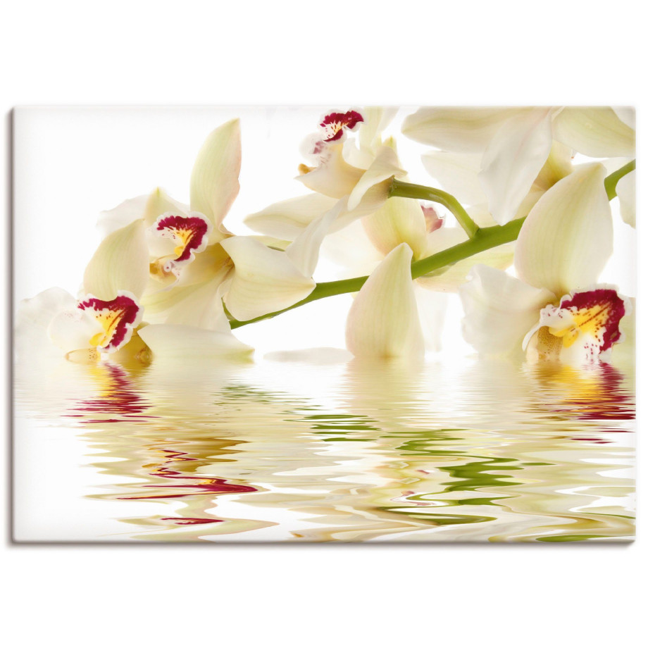 Artland Artprint Witte orchidee met waterreflectie als artprint op linnen, poster in verschillende formaten maten afbeelding 1