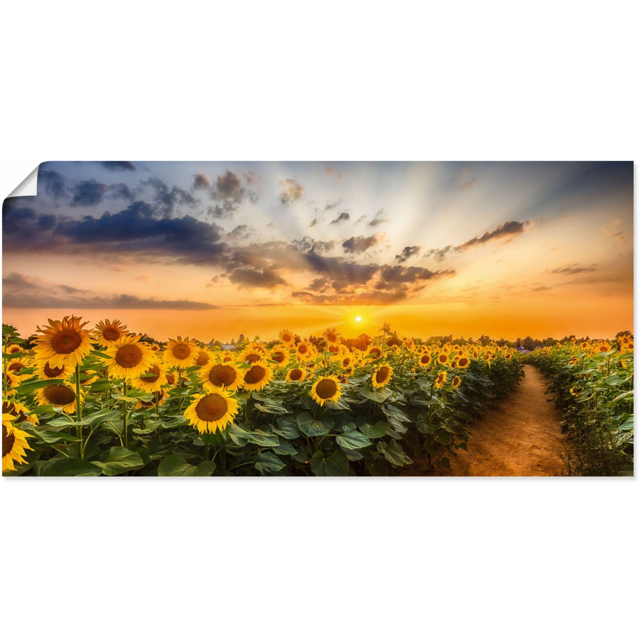 Artland Artprint Zonnebloemenveld bij zonsondergang als artprint van aluminium, artprint voor buiten, artprint op linnen, poster in verschillende maten. maten afbeelding 1