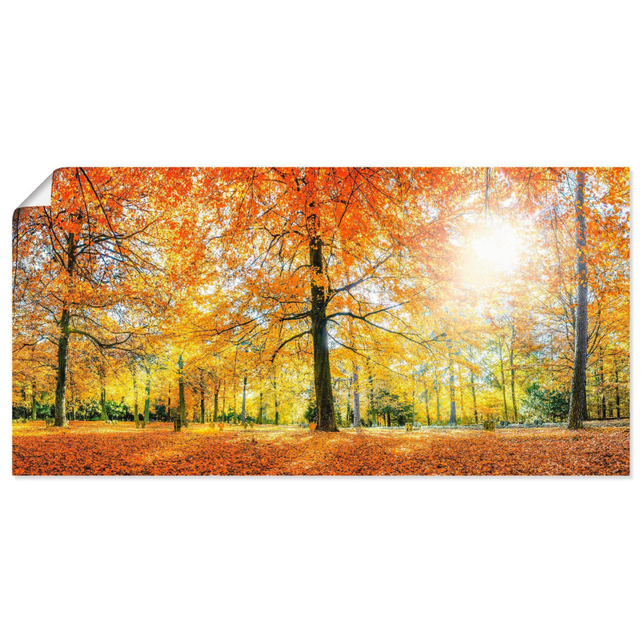 Artland Poster Herfstbos panorama als artprint van aluminium, artprint op linnen, muursticker of poster in verschillende maten afbeelding 1