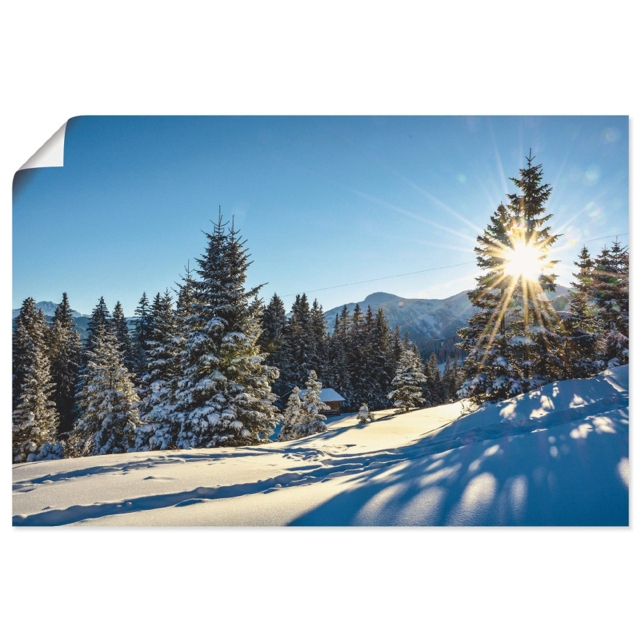 Artland Poster Winterlandschap met zonnester als artprint van aluminium, artprint op linnen, muursticker of poster in verschillende maten afbeelding 1