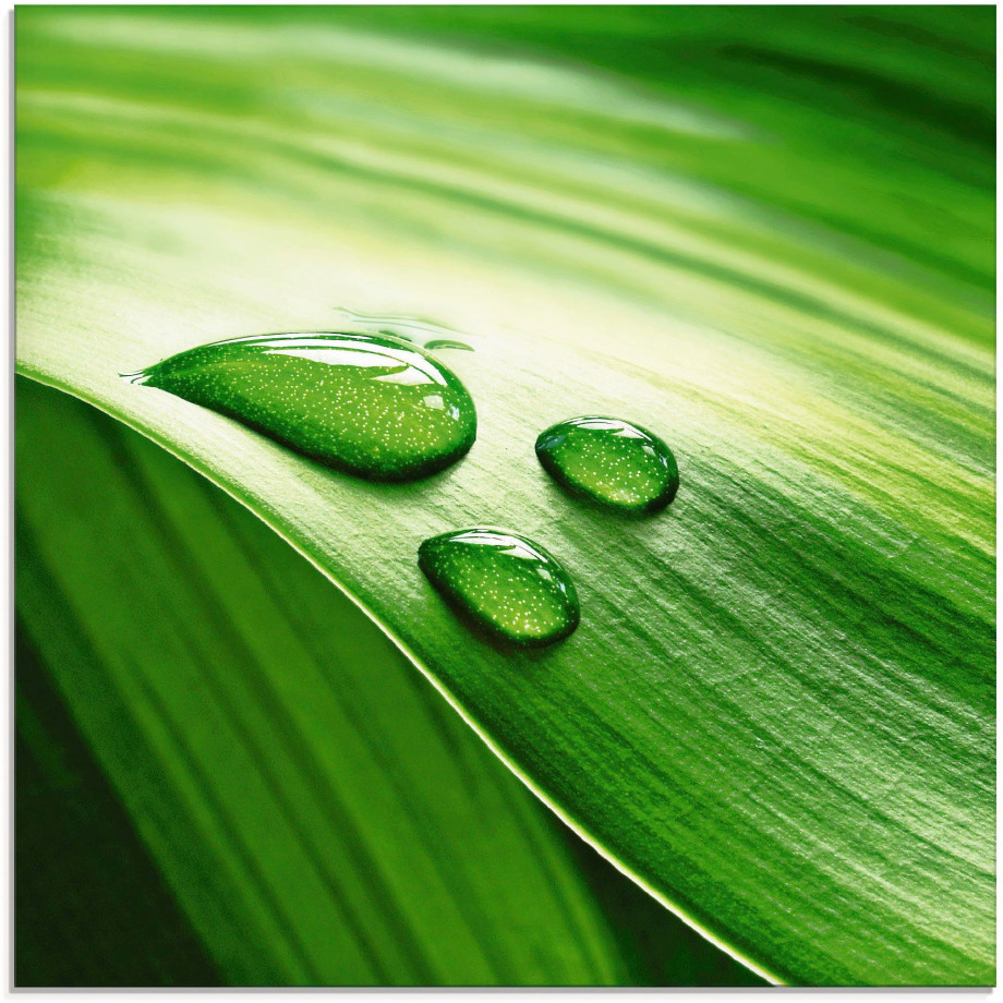 Artland Print op glas Close-up van een groen plantenblad afbeelding 1