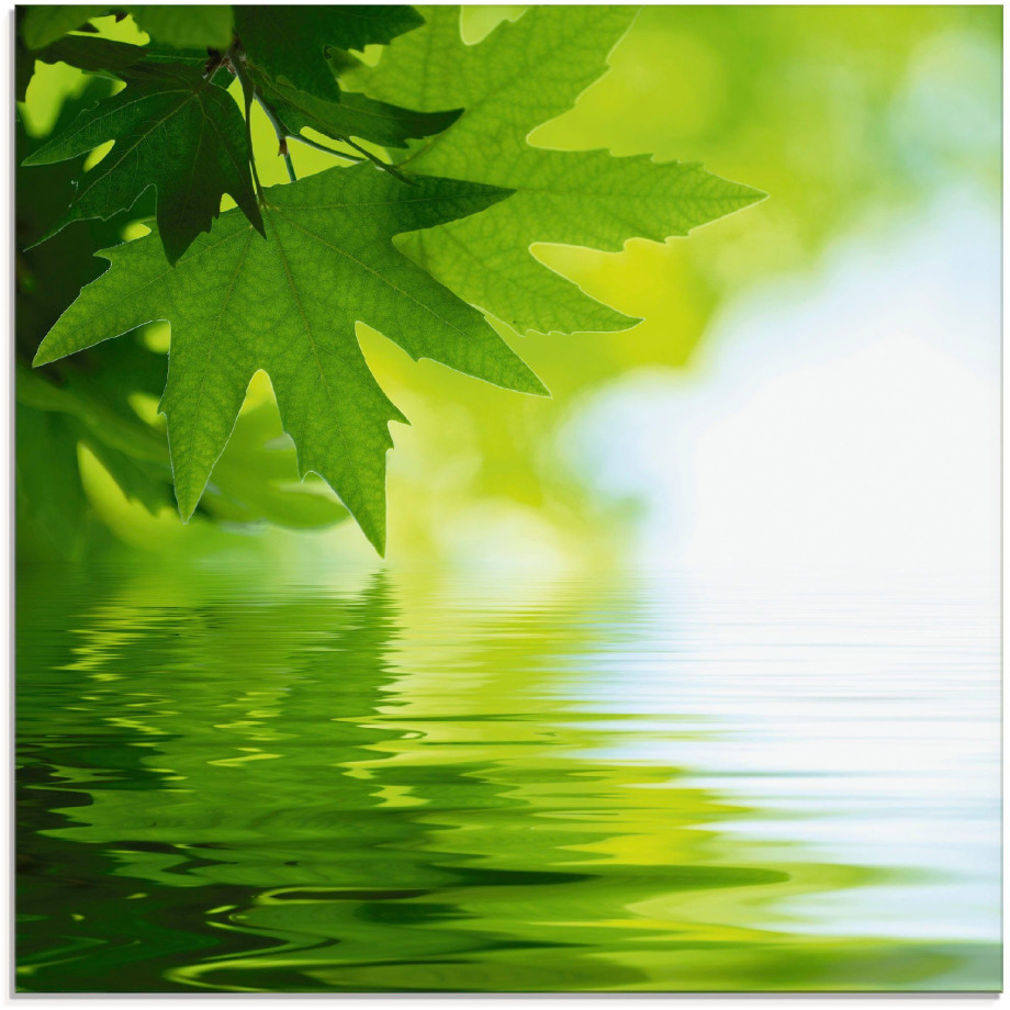 Artland Print op glas Groene blaadjes reflecteren in het water afbeelding 1