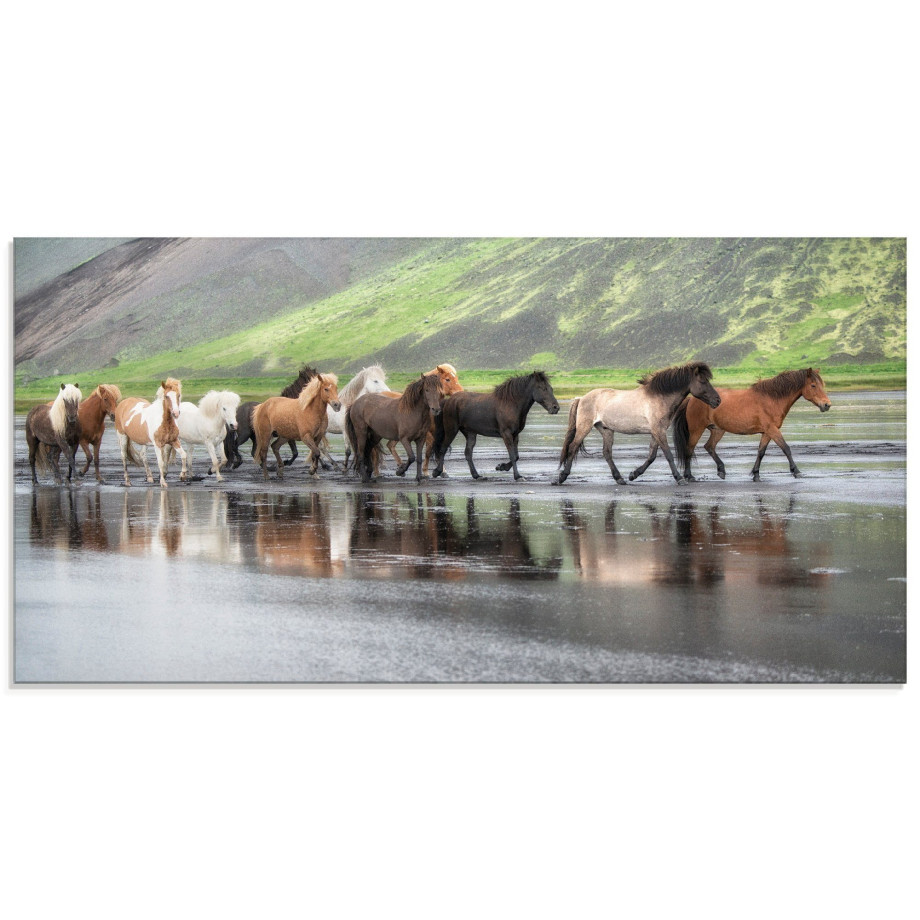 Artland Print op glas IJslandse paarden XIV in verschillende maten afbeelding 1