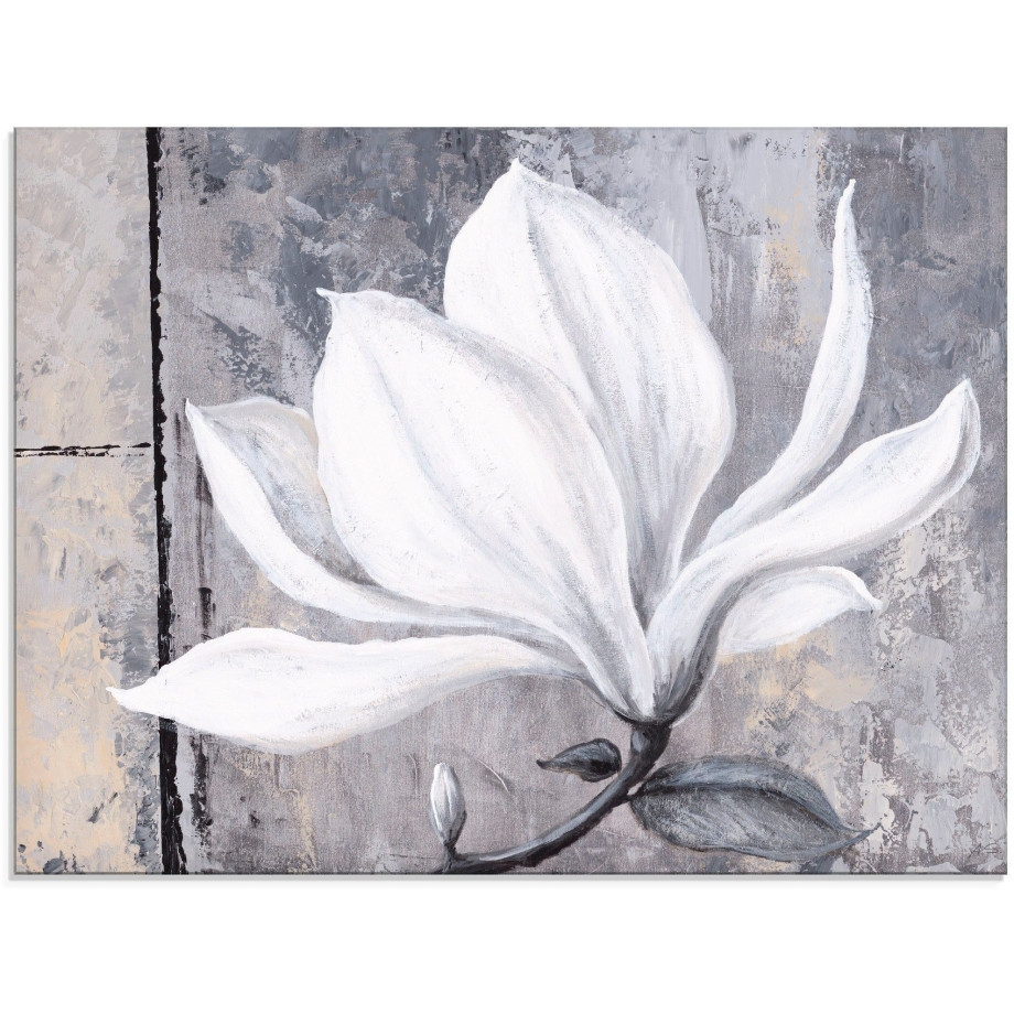 Artland Print op glas Klassieke magnolia in verschillende maten afbeelding 1