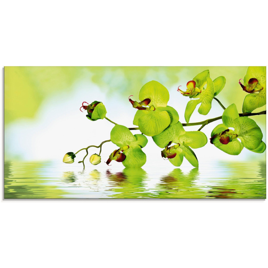 Artland Print op glas Mooie orchidee met groene achtergrond afbeelding 1
