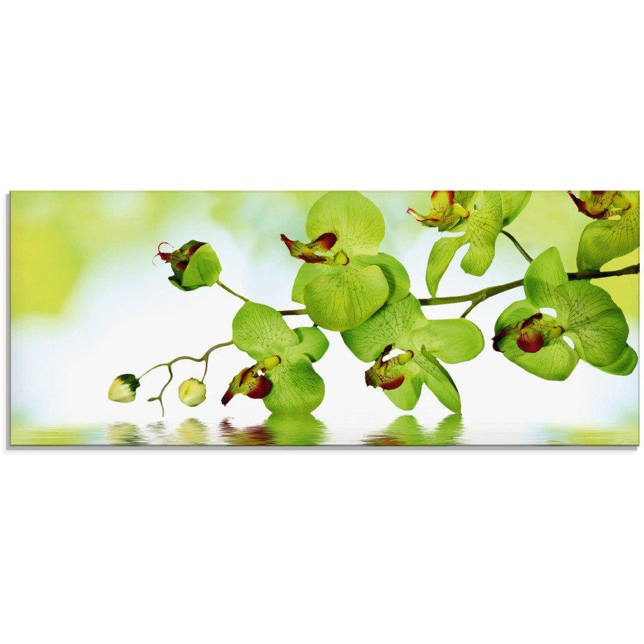 Artland Print op glas Mooie orchidee met groene achtergrond afbeelding 1