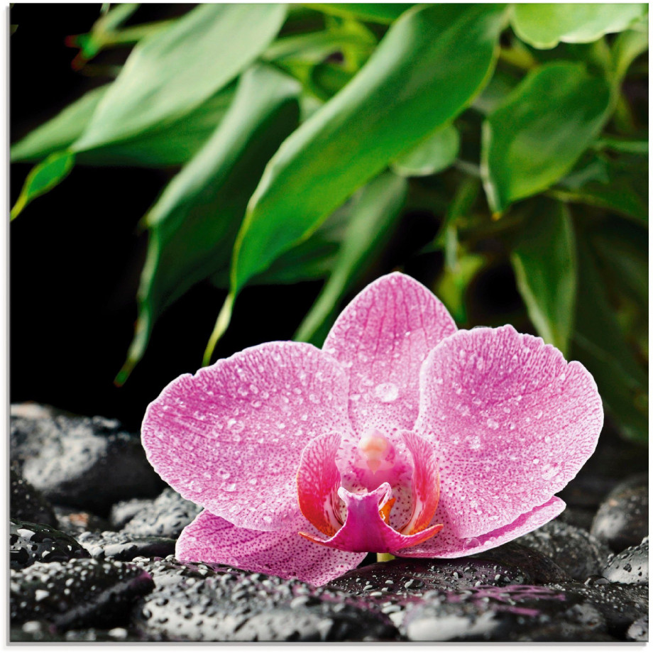 Artland Print op glas Roze orchidee op zwarte zen stenen afbeelding 1
