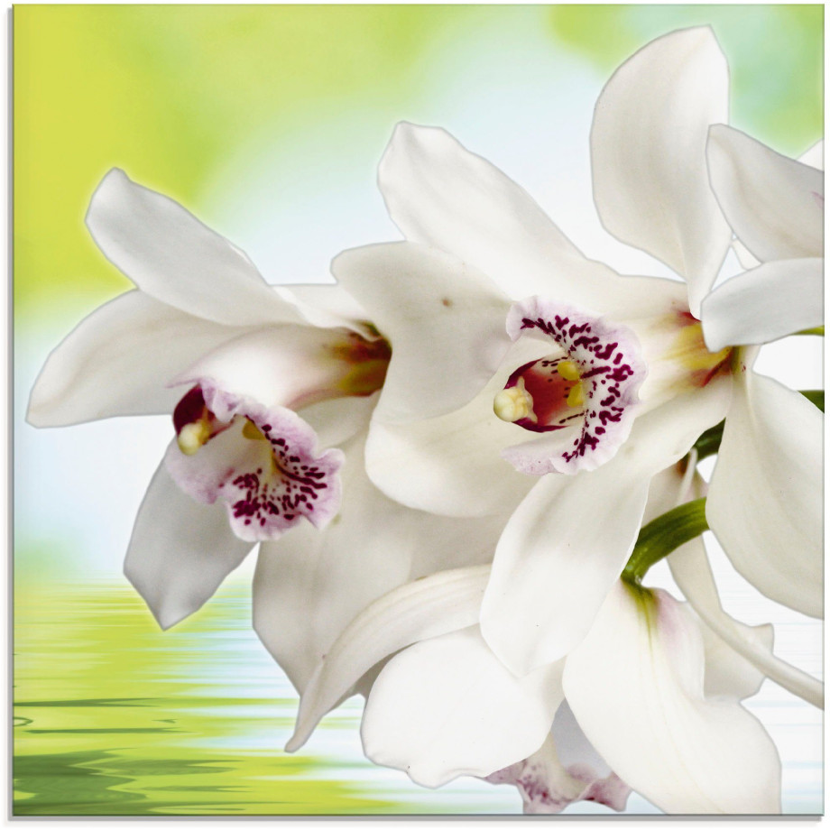 Artland Print op glas Witte orchidee in verschillende maten afbeelding 1