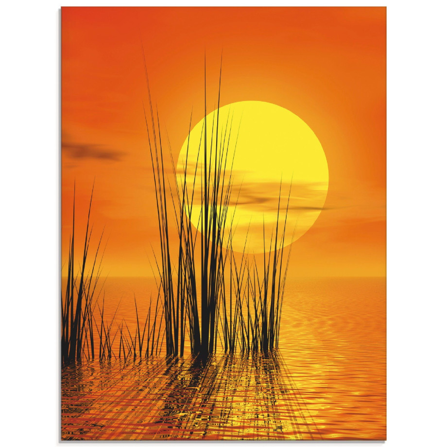 Artland Print op glas Zonsondergang met riet afbeelding 1