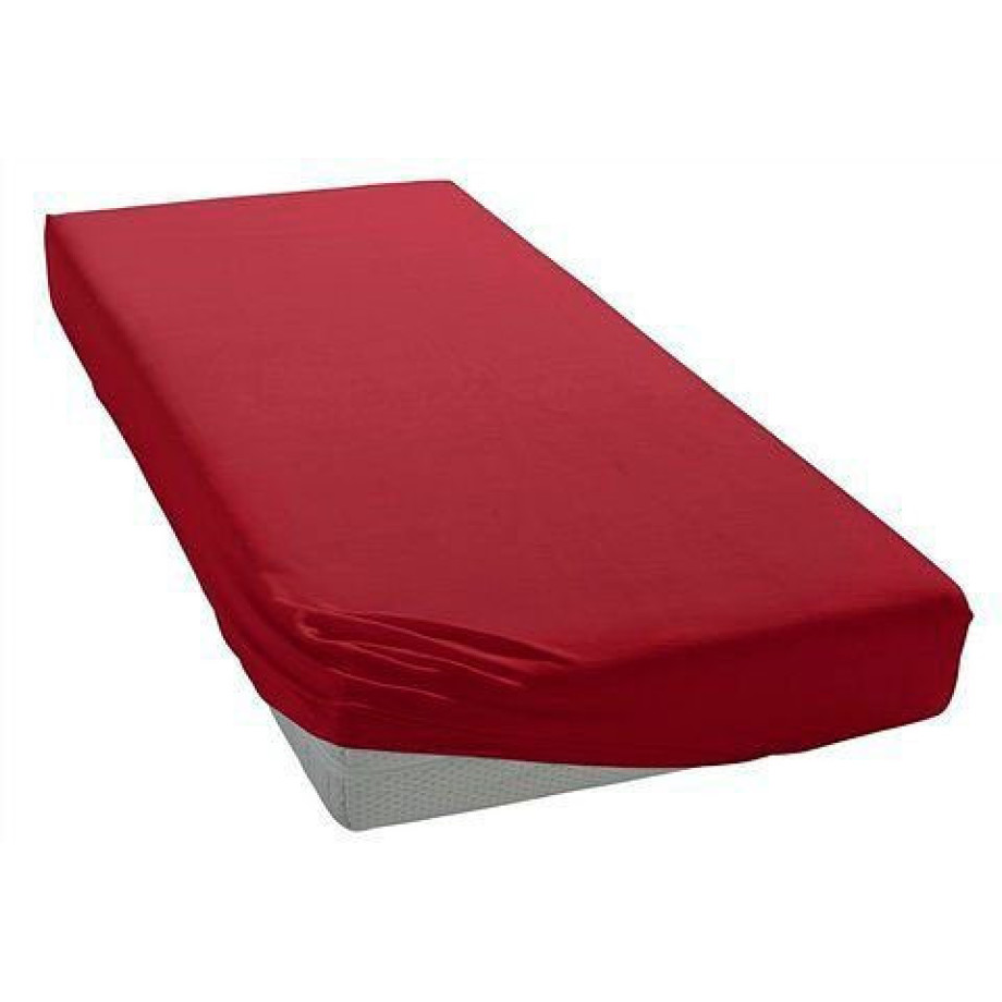 bellana Hoeslaken Bellana in mt. 90x200, 140x200 of 180x200 cm, voor topmatras van katoen, voor matrassen tot 10 cm hoogte, laken, hoeslaken (1 stuk) afbeelding 1