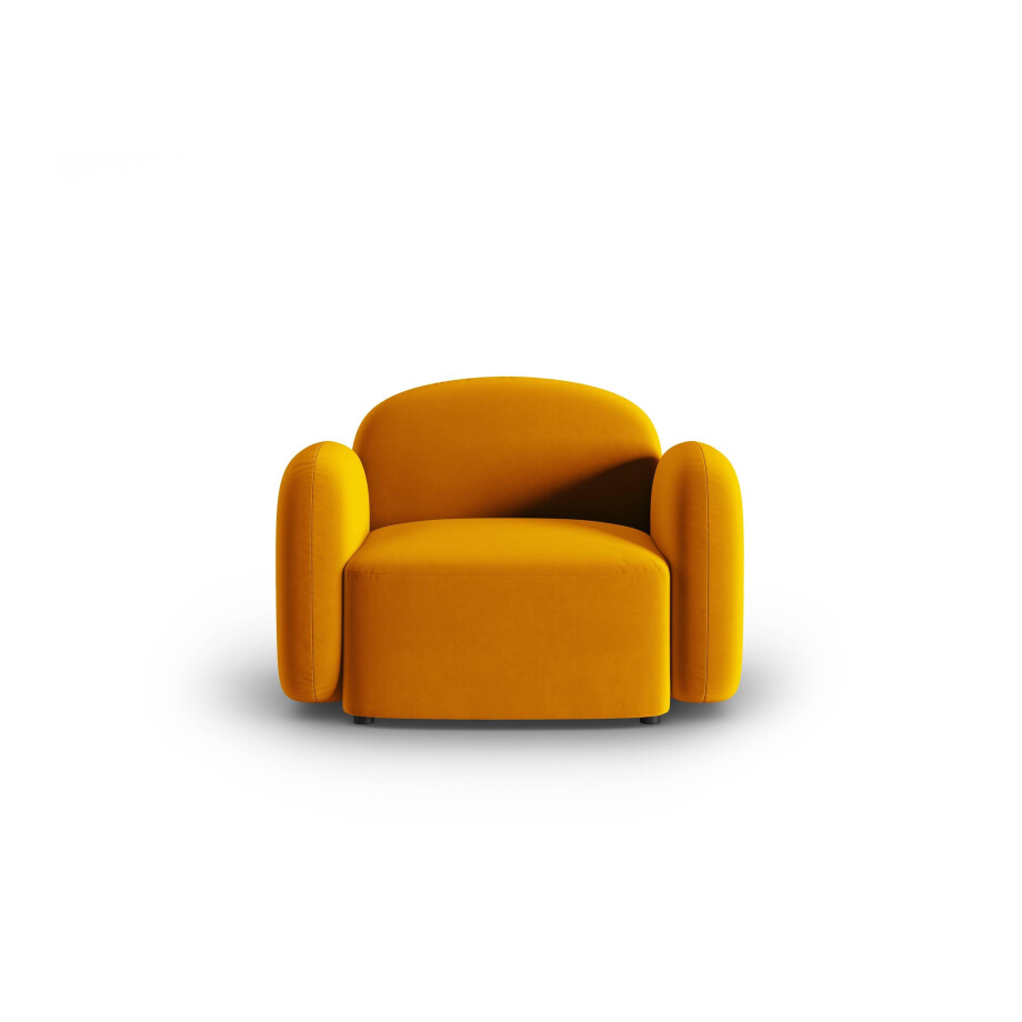 Fauteuil Blair velvet | Micadoni Home afbeelding 1