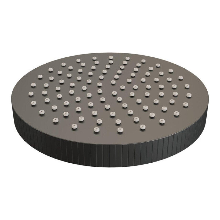 BRAUER Stripe Regendouchekop - 25cm - mat zwart 5-S-466 BRAUER Stripe Regendouchekop - 25cm - mat zwart 5-S-466 afbeelding 1