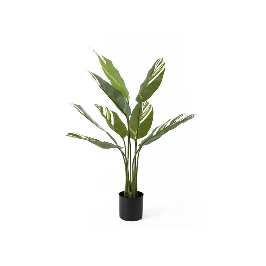 Kunstplant Calathea | Present Time afbeelding 1