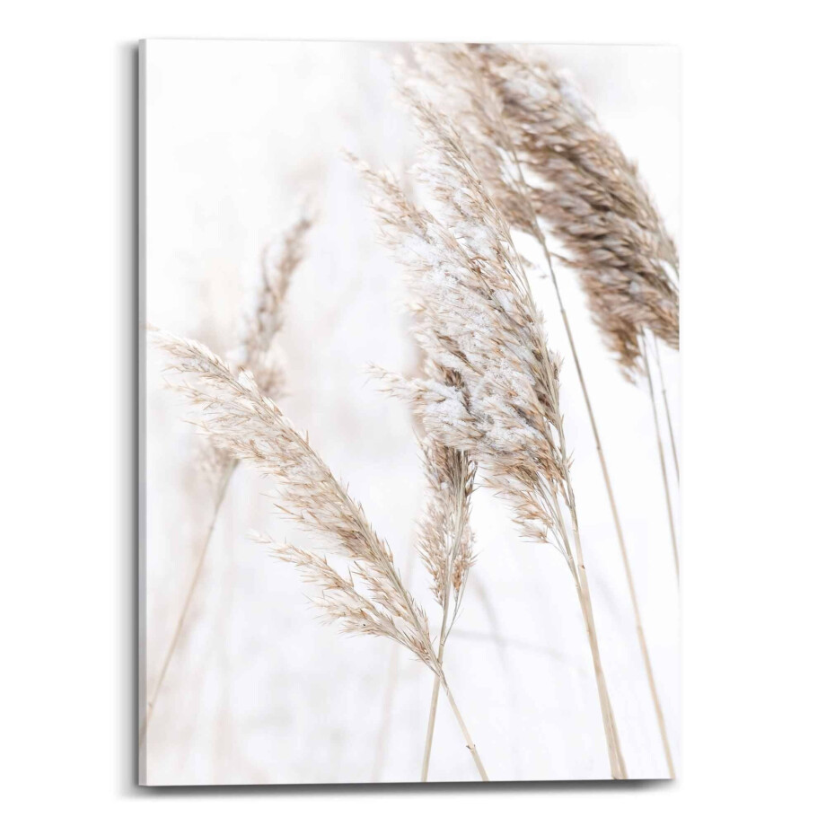 Canvas Scandic Breeze | Orangewallz afbeelding 1