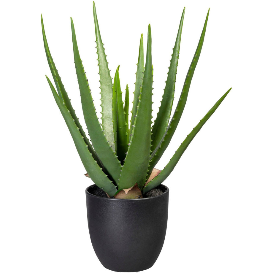 Creativ green Kunst-potplanten Aloe (1 stuk) afbeelding 1